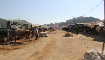 İzmir'deki kurban pazarlarında hayvanların büyük çoğunluğu satıldı