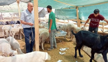 İzmir’de kurban pazarlarında son durum