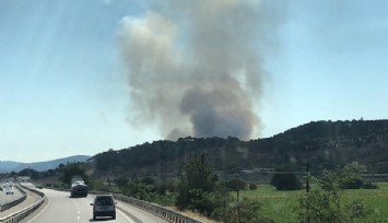 İzmir’de otluk alanda yangın  