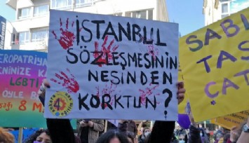 Eşitlik karşıtı rapor: İstanbul Sözleşmesi için skandal ifadeler
