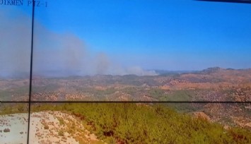  Seferihisar’da orman yangını  