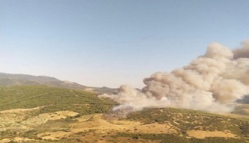 Manisa’da otluk alanda çıkan yangın ormana sıçradı  