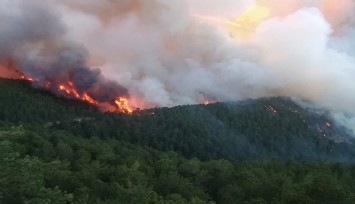 Kütahya'da orman alanında yangın