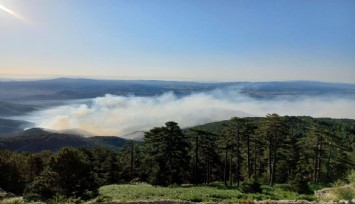 Kütahya'daki orman yangınına havadan ve karadan müdahale