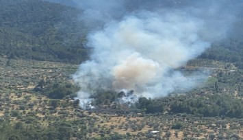 İzmir’de orman yangını kısa sürede kontrol altında