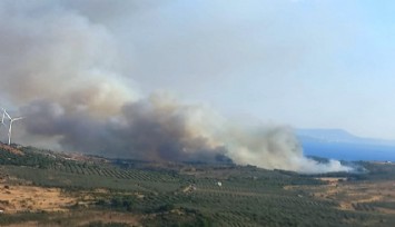 İzmir'de yangın: Havadan ve karadan müdahale ediliyor