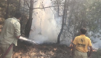Spil Dağı'ndaki orman yangını söndürüldü