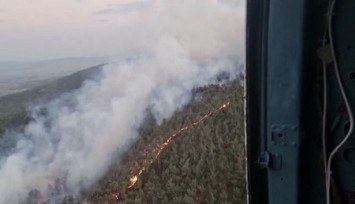 Manisa'da ormanlık alanda yangın  