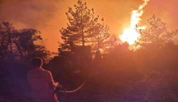 Soma'daki orman yangınında 50 hektarlık alan zarar gördü