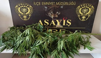 İzmir'de polisten uyuşturucu tacirlerine yönelik 4 ayrı operasyon