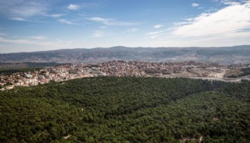 Manisa’da 2 ayrı noktada ormanlık alanda yangın başladı