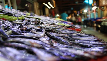 1 Eylül'de yasaklar bitiyor, balıkçılar av sezonuna hazırlanıyor