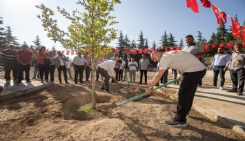 Zafer ve Anma için Afyon’da ‘’Barış Çınarı’