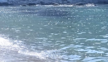Çeşme'nin o bölgesindeki arıtma sorununa Başkan Soyer el koydu: İZSU'ya kesin talimat