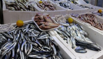 Akaryakıt maliyetleri yeni sezon öncesi balıkçıyı zora sokuyor