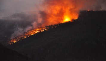Muğla'da orman yangını: Bazı ev ve işyerleri tahliye edildi