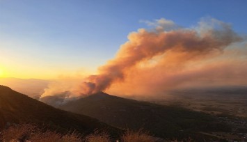 Muğla'daki yangın kontrol altına alındı