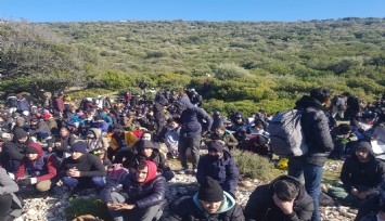 İzmir'de jandarmadan göçmen kaçakçılığı operasyonu: 19 olayda 343 göçmen yakalandı