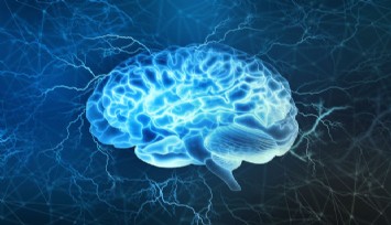 Gelir eşitsizliği Alzheimer'a yol açıyor