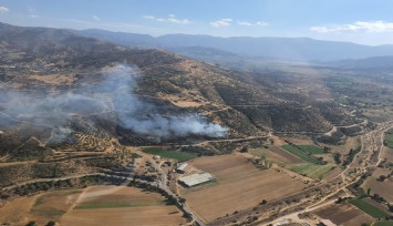 Kiraz'da orman yangını