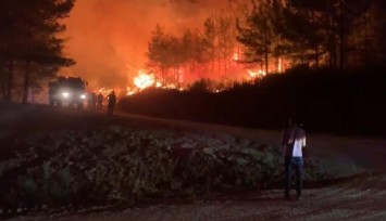 Marmaris'teki orman yangını kontrol altında