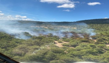 Bergama'da orman yangını