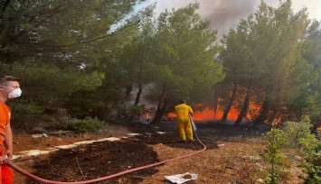 Bergama'daki orman yangını kontrol altında