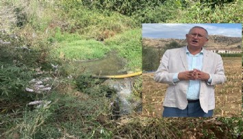 CHP’li Sertel ortaya çıkardı: Ödemiş Cezaevi’nin lağım suları tarım arazilerine boşaltılıyor   
