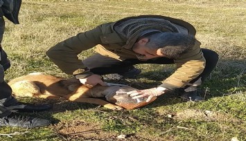 Başı sıkışan köpeğe vatandaş yardım etti