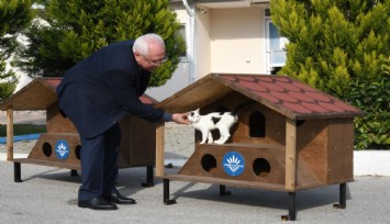 Karabağlar’ın 2023 yılı kedi evleri hazır
