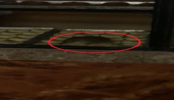 Simit fırınında gezinen fare kameraya yansıdı