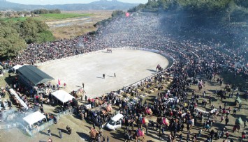 41. Uluslararası Efes Selçuk Deve Güreşleri Festivali başlıyor