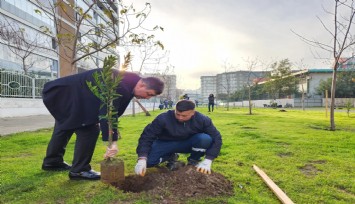 Karşıyaka Belediyesi'nin 100 bin ağaç hedefinde 80 bin fidan toprakla buluştu