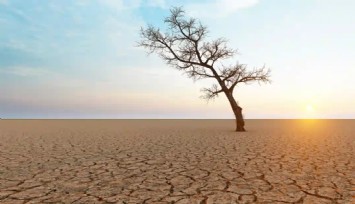 Tarım ve Orman Bakanı Kirişçi: Su fakiri ülke olacağız