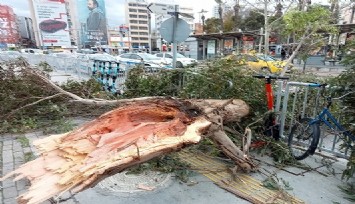 İzmir’i fırtına vurdu: Çatılar uçtu, ağaçlar devrildi