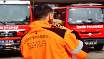 İzmirli itfaiyeci deprem bölgesinden gelen köpeğe yuvasını açtı