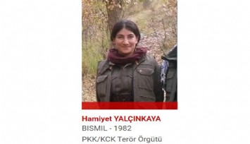 Kırmızı kategorideki terörist etkisiz hale getirildi