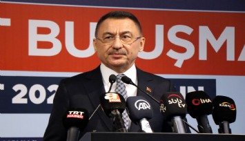 Cumhurbaşkanı Yardımcısı Oktay: 'Afet bölgesini 360 derece sürekli tarıyoruz'
