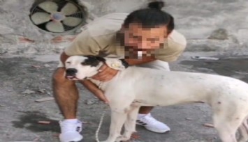 Saldırgan köpeğin sahibine hapis talebi