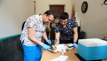 Konak'taki can dostlarına özel ilgi