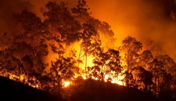 Orman fakültesinden yangın uyarısı: “Sıkıntılı dönemler bizi bekliyor”