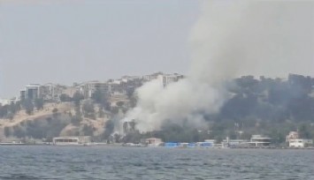 İzmir'de otluk alanda yangın