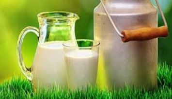 Gıda Mühendisleri'nden 'Dünya Süt günü' mesajı