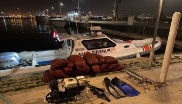 İzmir'de kaçak avlanan 500 kilogram midye ele geçirildi