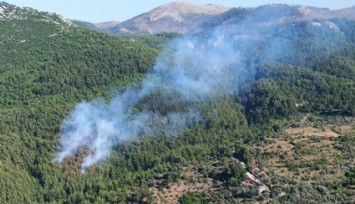 Milas'ta orman yangını kontrol altına alındı
