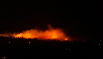Urla'da korkutan yangın