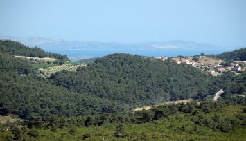 Urla’da Yağcılar Mahallesi Değirmentepe bölgesi arkeolojik sit ilan edildi