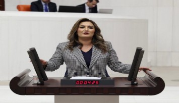 CHP'li Kılıç'ın TBMM'de verdiği 'Gençlerde suç oranlarının nedeni araştırılsın' önergesi reddedildi
