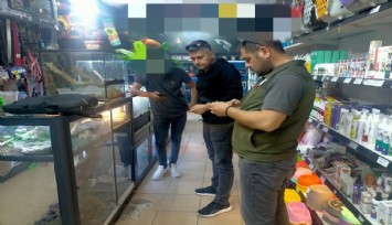 Manisa'da Mısır yılanı ve sakallı ejder satışı yapan petshopa ceza