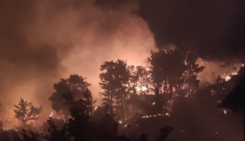 Muğla alev alev: Ortaca’dan sonra Dalaman’da da yangın çıktı